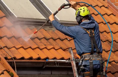 Démoussage et hydrofuge de toiture à Novacelles
